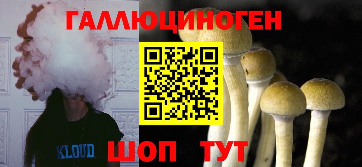 Псилоцибиновые грибы мицелий Когалым